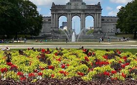 Cinquantenaire Appartement